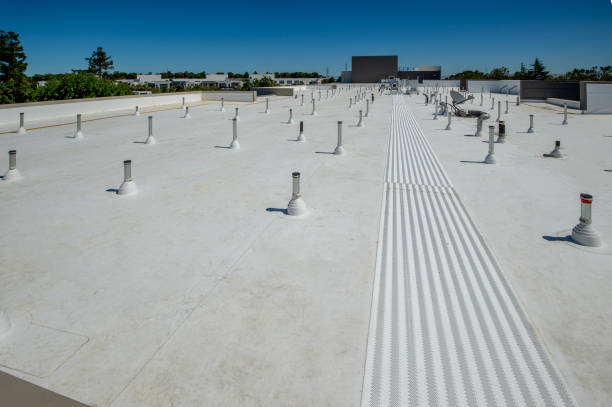 Best Metal Roofing Installation  in Bridgeport, PA